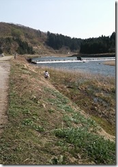 ハウス脇大石川ごみ拾い