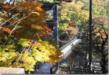 takanosumomiji