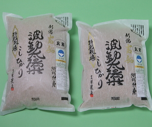 特別栽培米 コシヒカリ 玄米