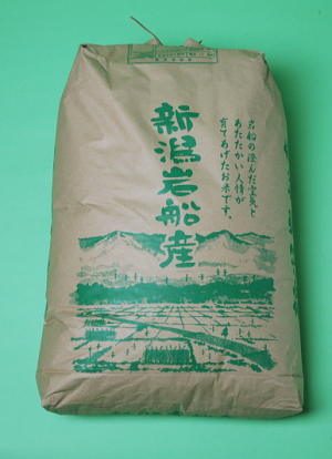 特別栽培米 こがねもち 玄米